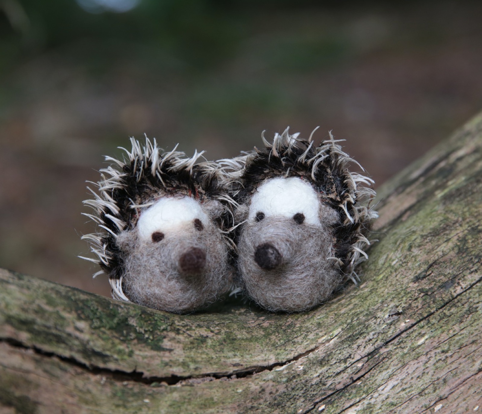 Igel filzen